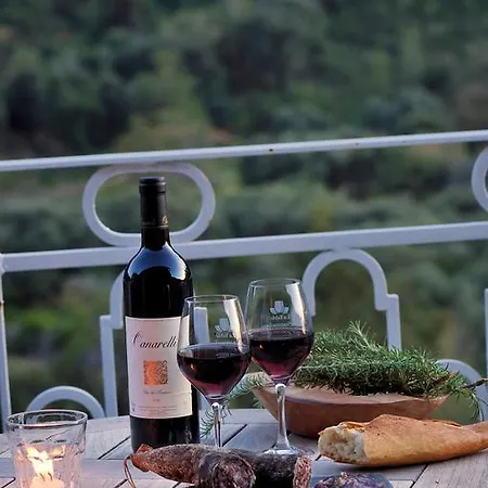 Logis Hotel Le Lonca 3*