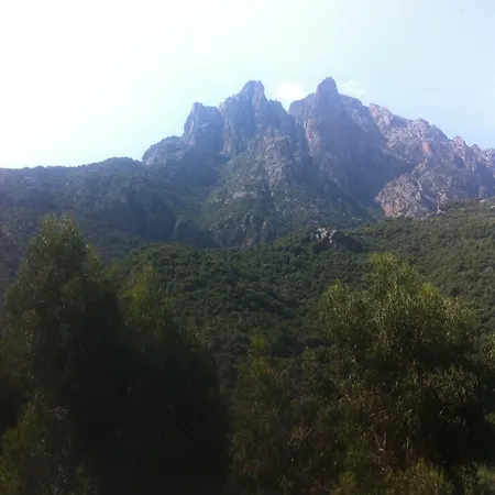 Hotel Logis Le Lonca Porto (Corsica)