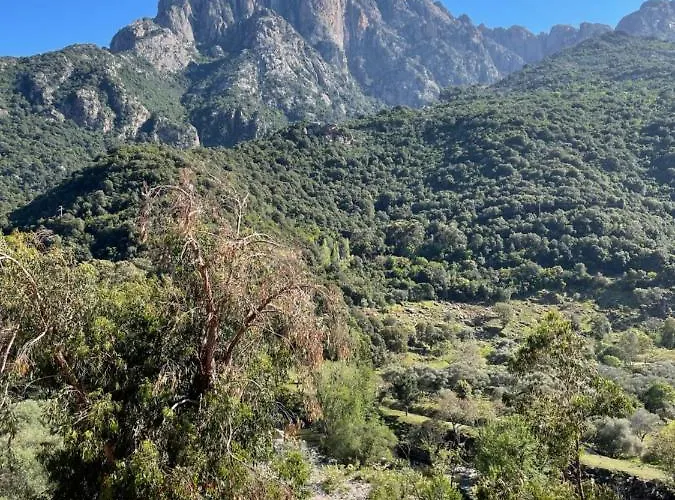Logis Le Lonca Porto (Corsica)